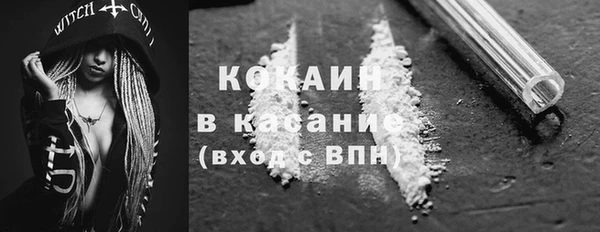 apvp Болотное