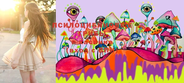 марки lsd Козловка