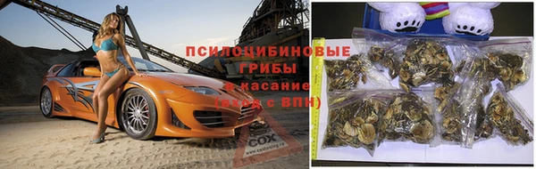 а пвп мука Кинешма