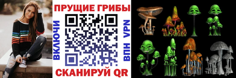 хочу наркоту  Чаплыгин  кракен онион  Галлюциногенные грибы ЛСД 